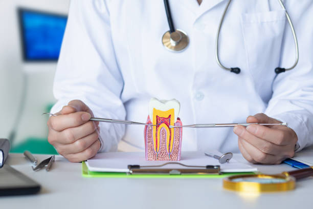 Best Emergency Root Canal Treatment in Boyes Hot Springs, CA